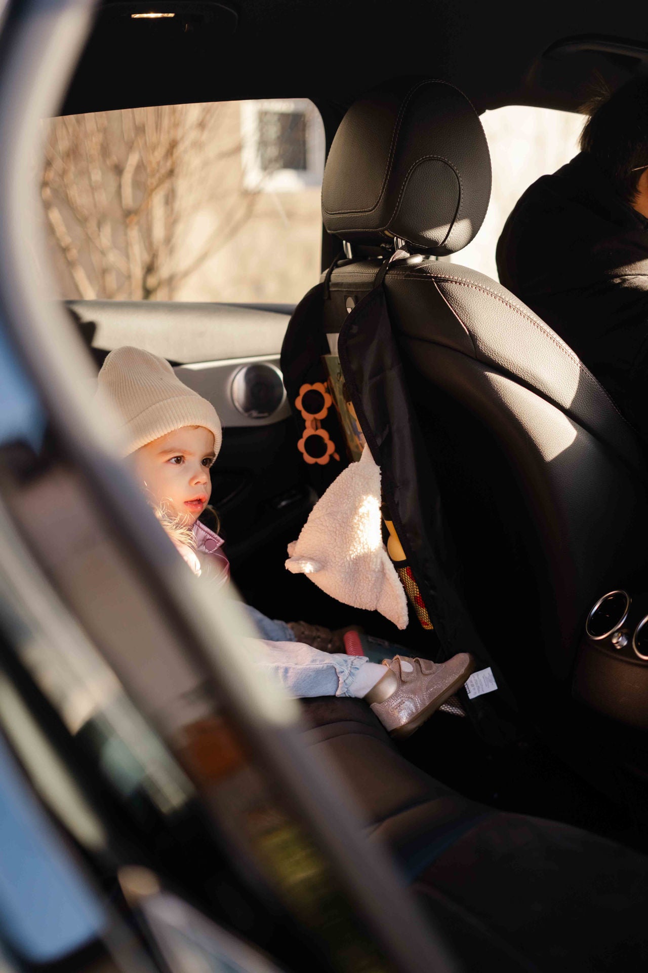 Back seat organizer