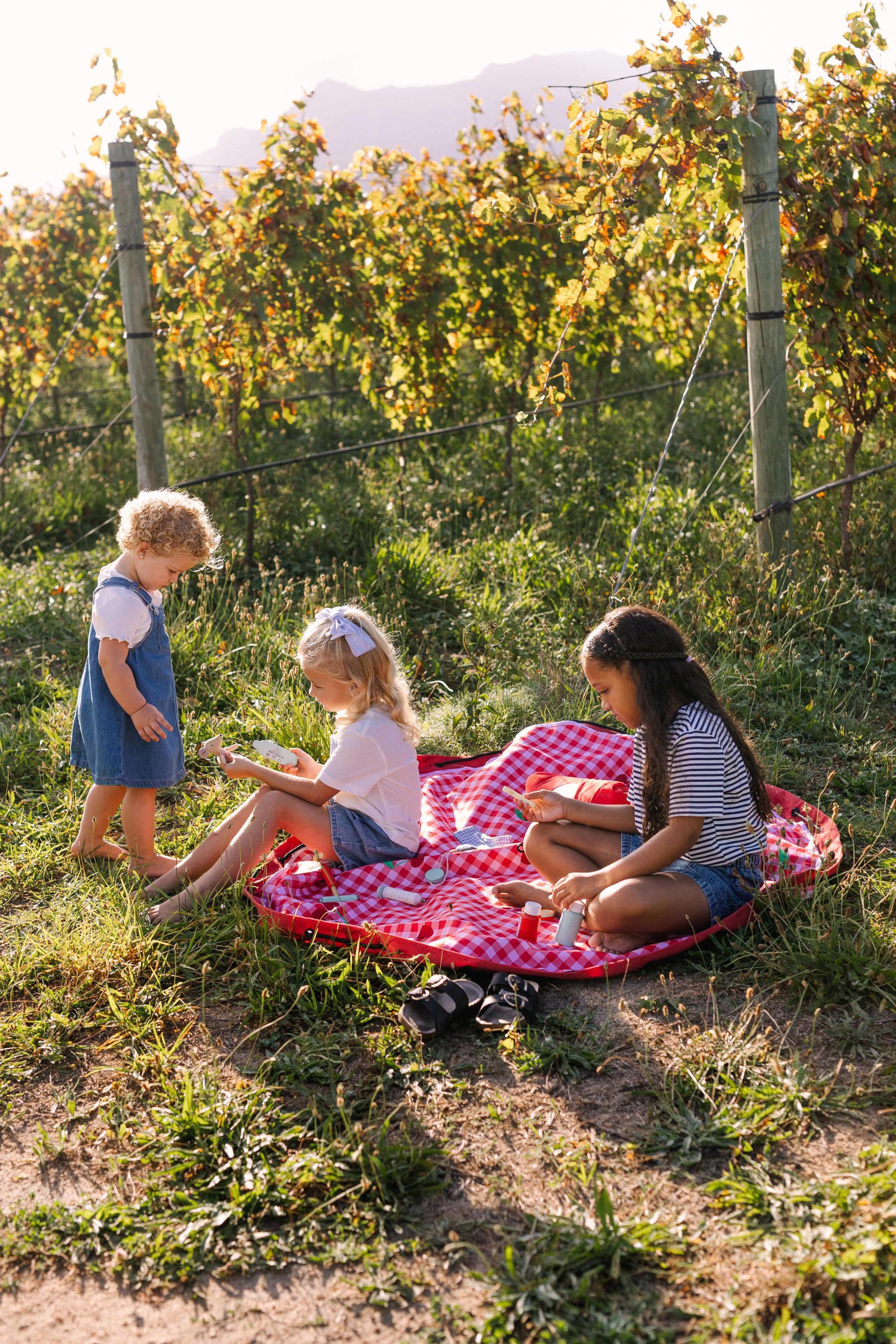 Play And Go Noomad 2-in-1 Opbergzak Speelmat - Picnic