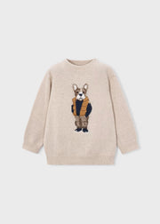 Jongens Trui met Intarsia