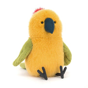 Budgeby Parrot - Casteleyn