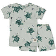 Feetje Premium Pyjama Timmy Turtle - Casteleyn