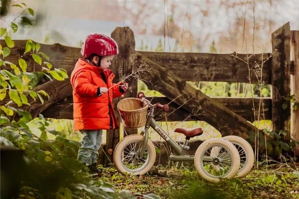 Loopfiets 2 in 1 - Casteleyn