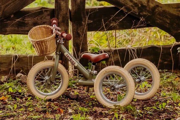 Loopfiets 2 in 1 - Casteleyn