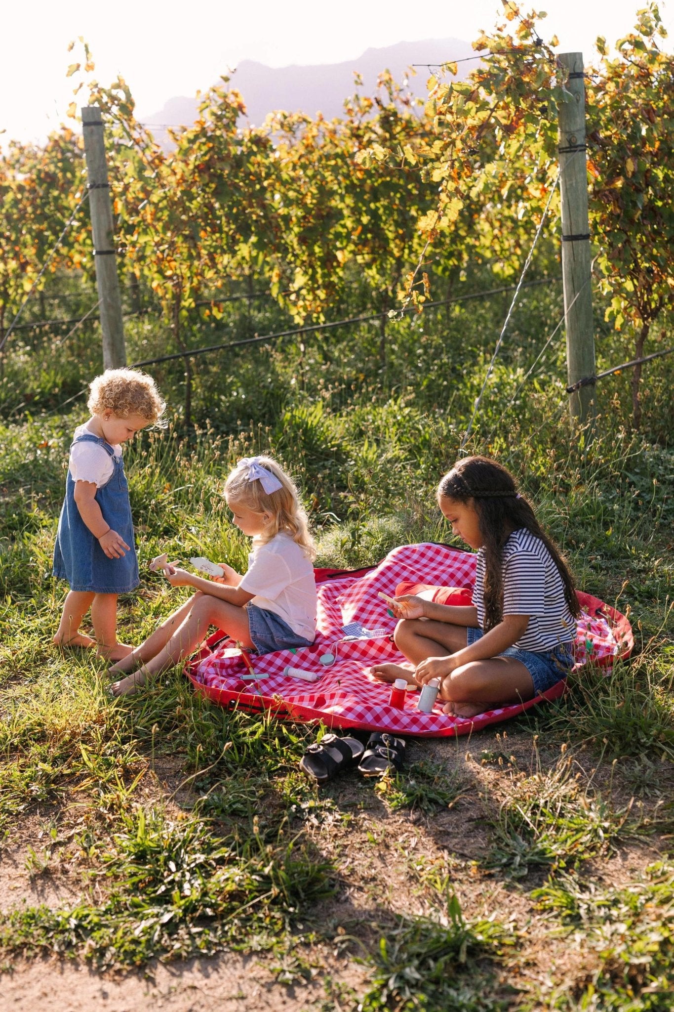 Play And Go Noomad 2-in-1 Opbergzak Speelmat - Picnic - Casteleyn