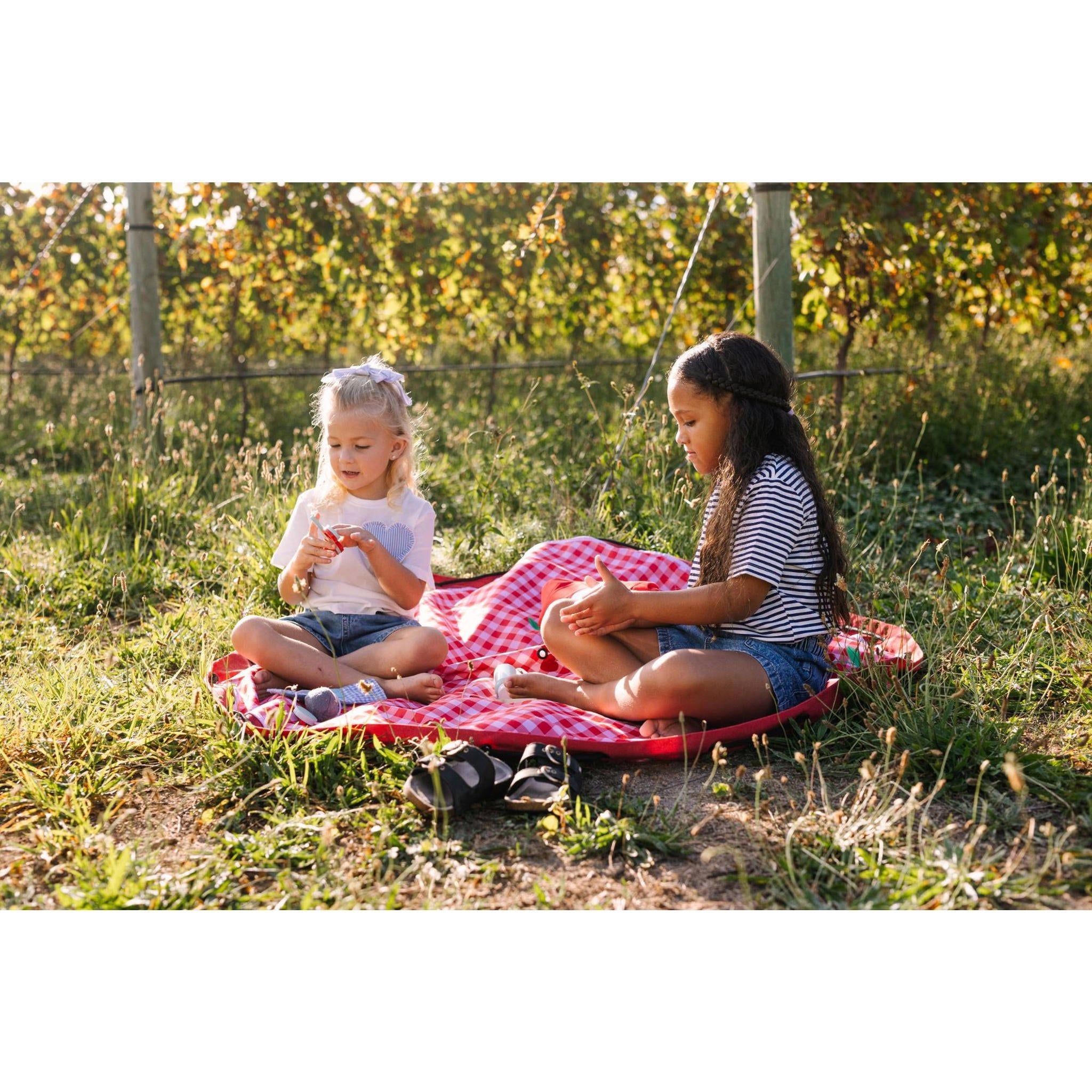 Play And Go Noomad 2-in-1 Opbergzak Speelmat - Picnic - Casteleyn