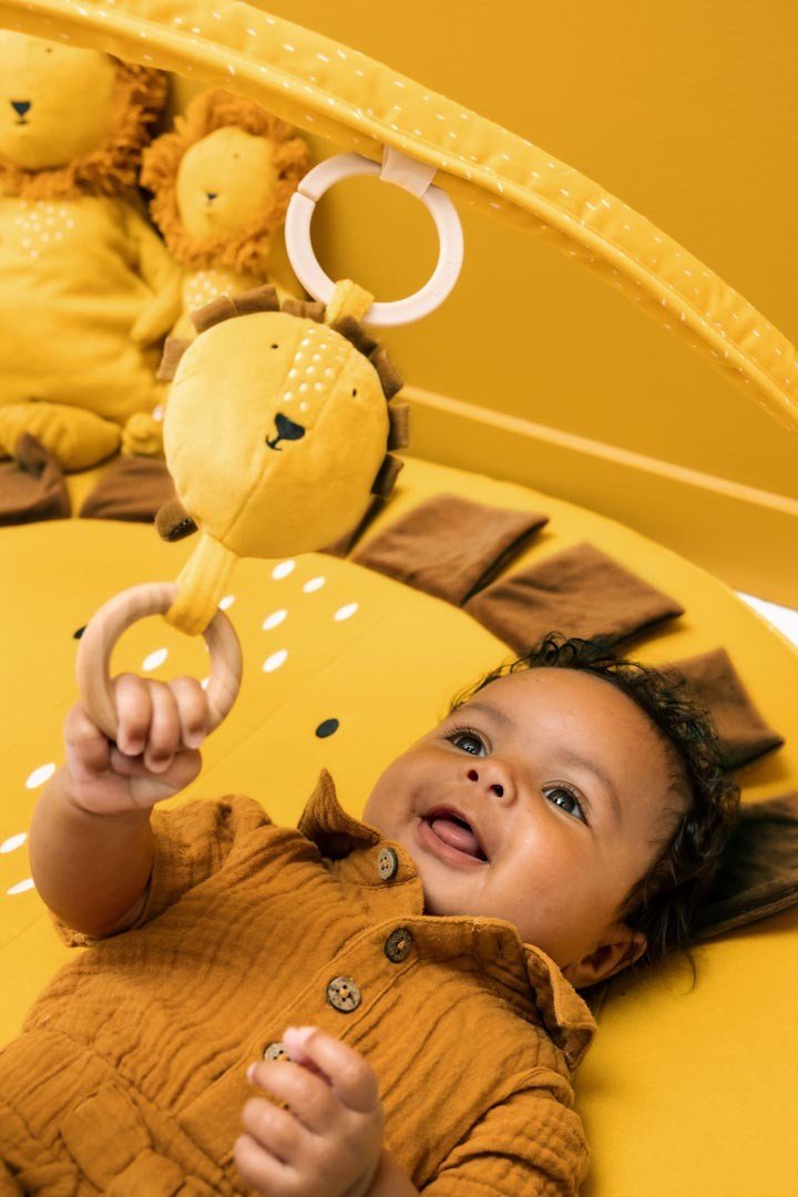 Trixie Activiteiten Speelmat met Bogen – Mr. Lion - Casteleyn